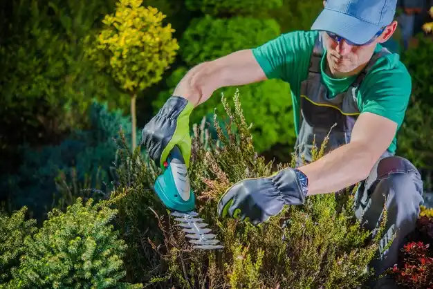 landscaping services Corinth
